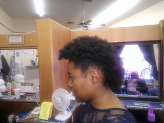 fro hawk