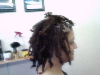 backcombing dreadlocks I did