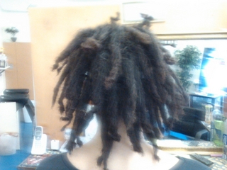 backcombing dreadlocks i did