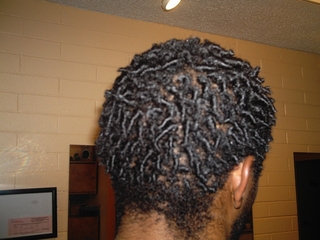 comb coils