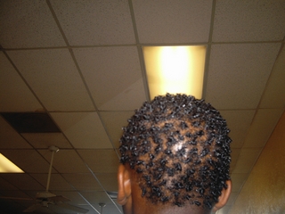 comb coils (little boy)