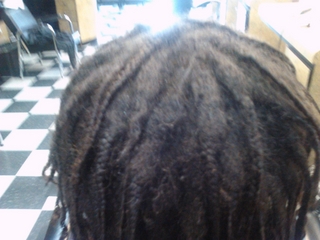 Dreadlocks Before