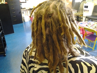 dreads