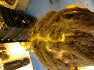 dreads