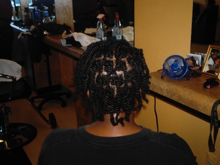 Natural 2 Strand Twists I did