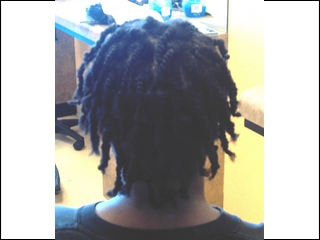 Natural 2 Strand Twists I did