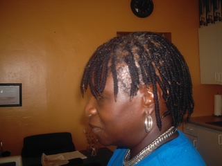 Pixie Nulocs I did