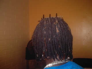 Pixie Nulocs I did