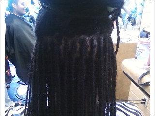 Interlocking the locs I did