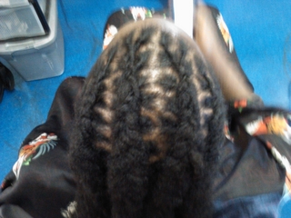 cornrow locs i did